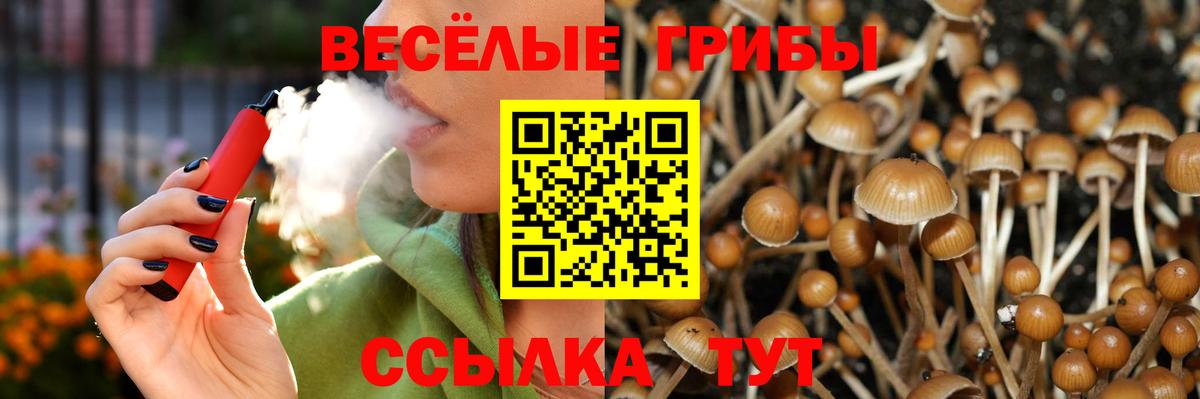 наркота  Вход с VPN  Ишимбай  Псилоцибиновые грибы мицелий 